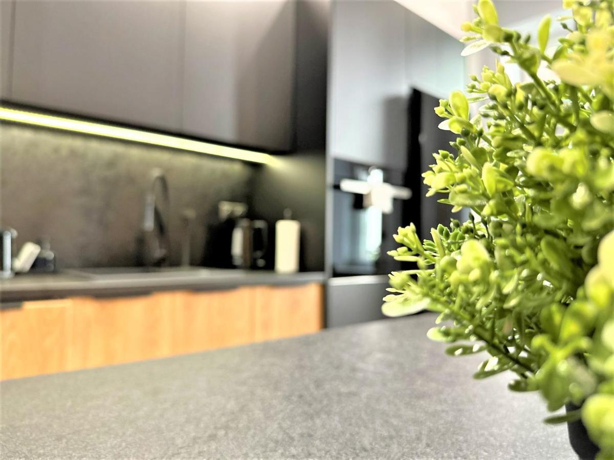 Luxury 100M2 Loft Design-Apartment At Wawel + Netflix Krakow Luaran gambar